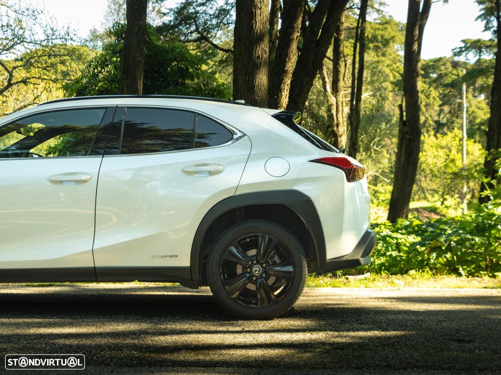 Lexus UX 250h Special Edition (LCA) - 18