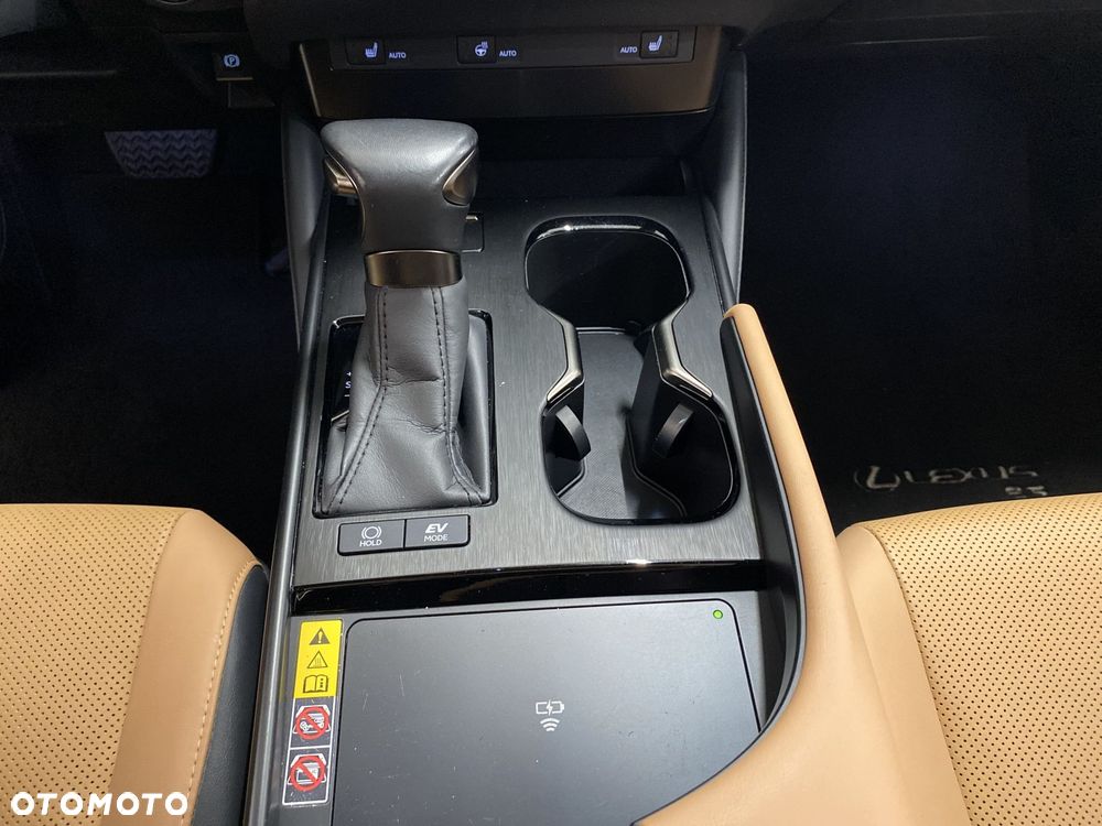 Lexus ES 300h F Sport Design - 17