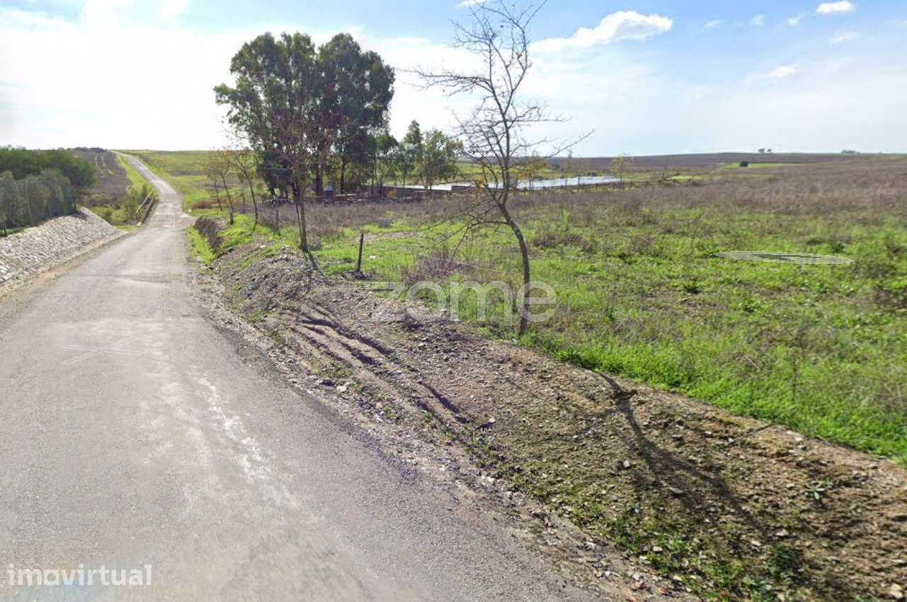 Terreno rustico com pomar - Grande imagem: 2/12