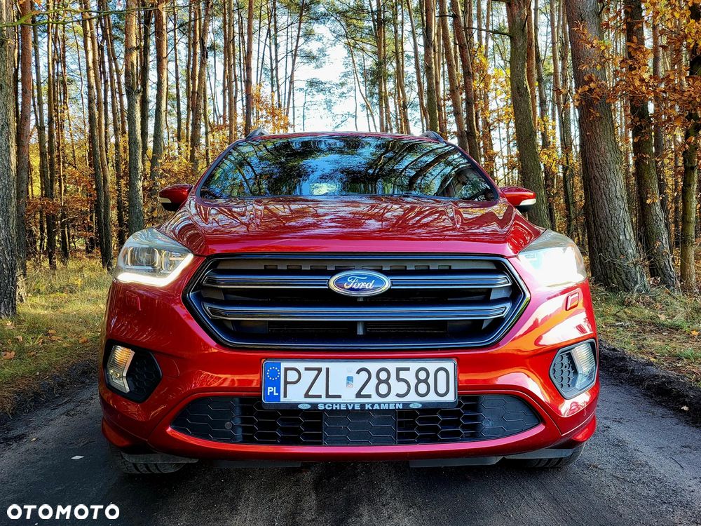 Ford Kuga 1.5 EcoBoost 2x4 ST-Line - 3