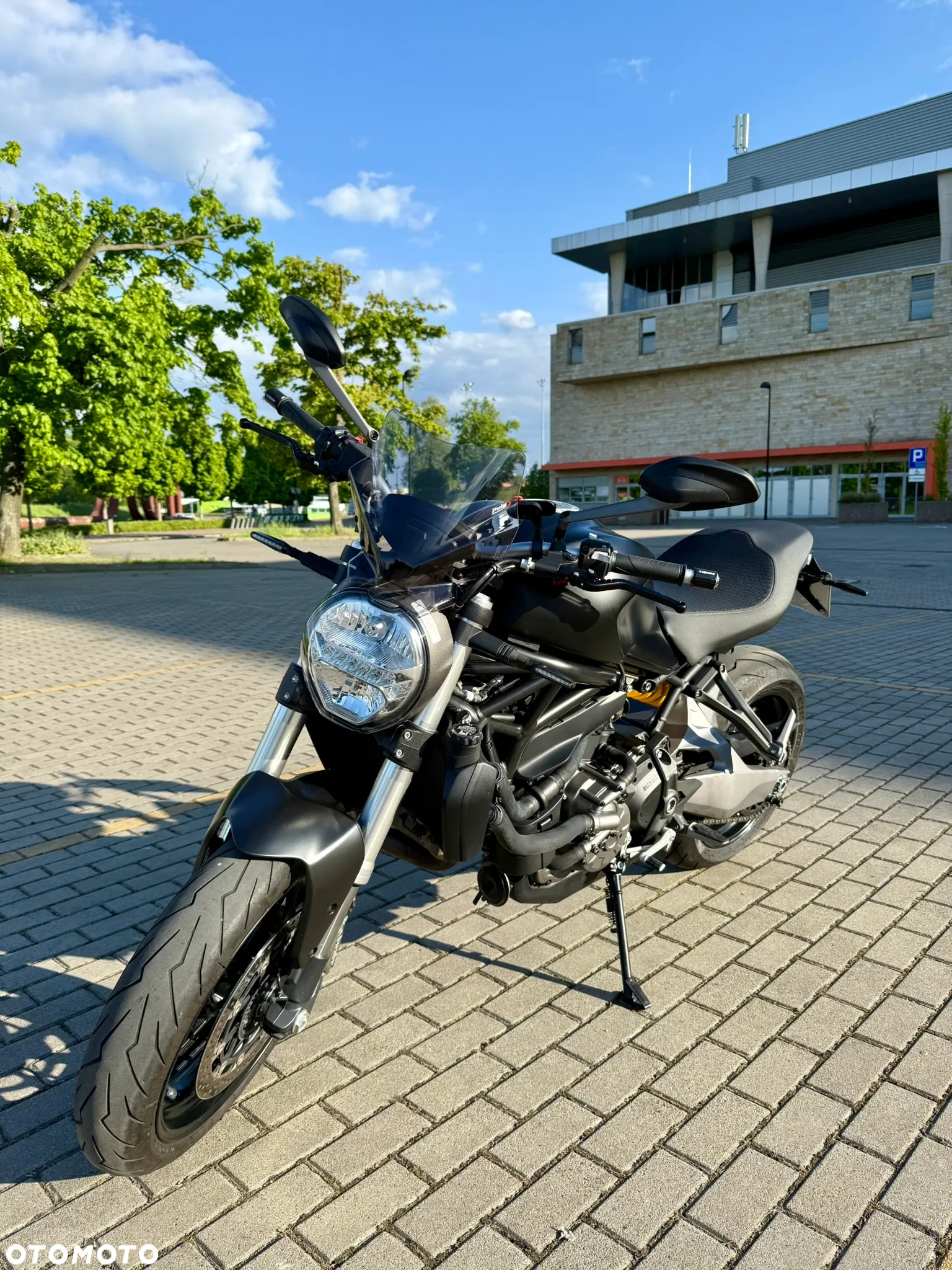Ducati Monster - 5