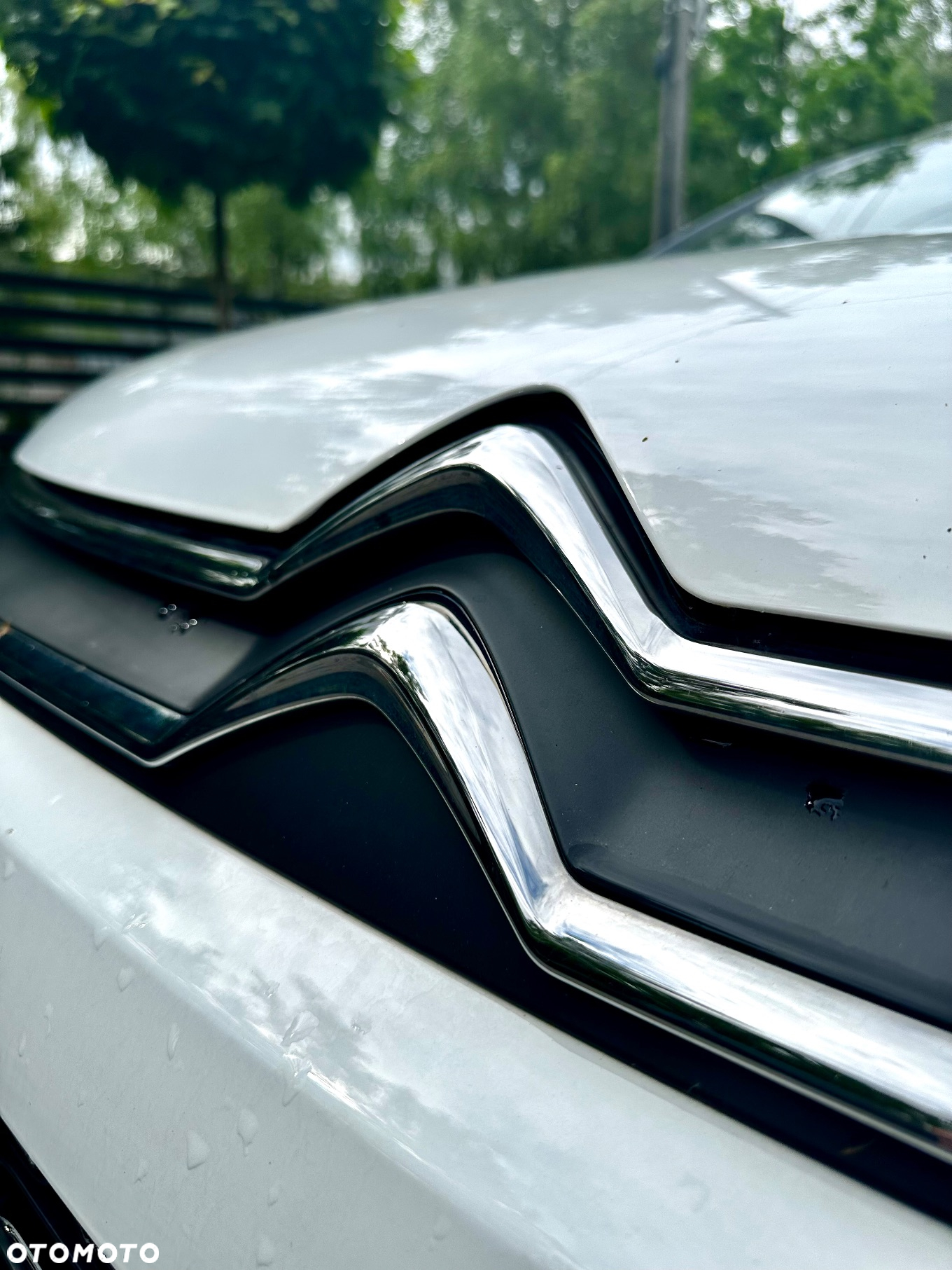 Citroën C3 1.2 PureTech Shine EAT6 - 11