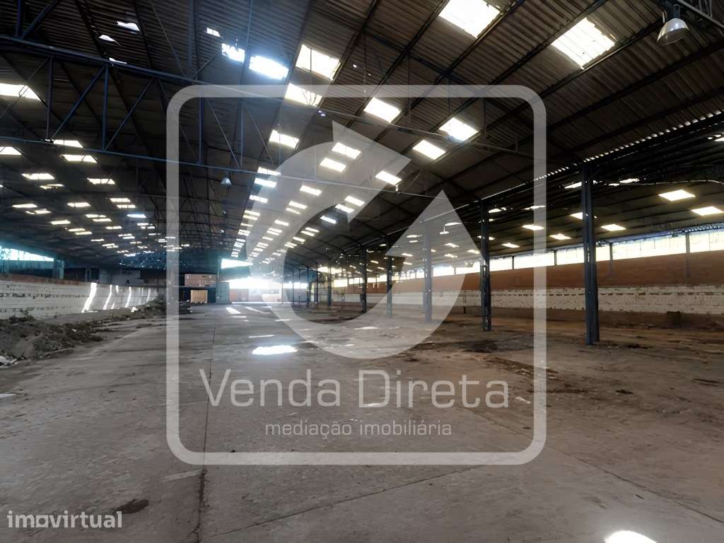 Armazém Industrial com 11.765 m² em Côja, Arganil - IMÓVEL DA BANCA - Grande imagem: 4/18