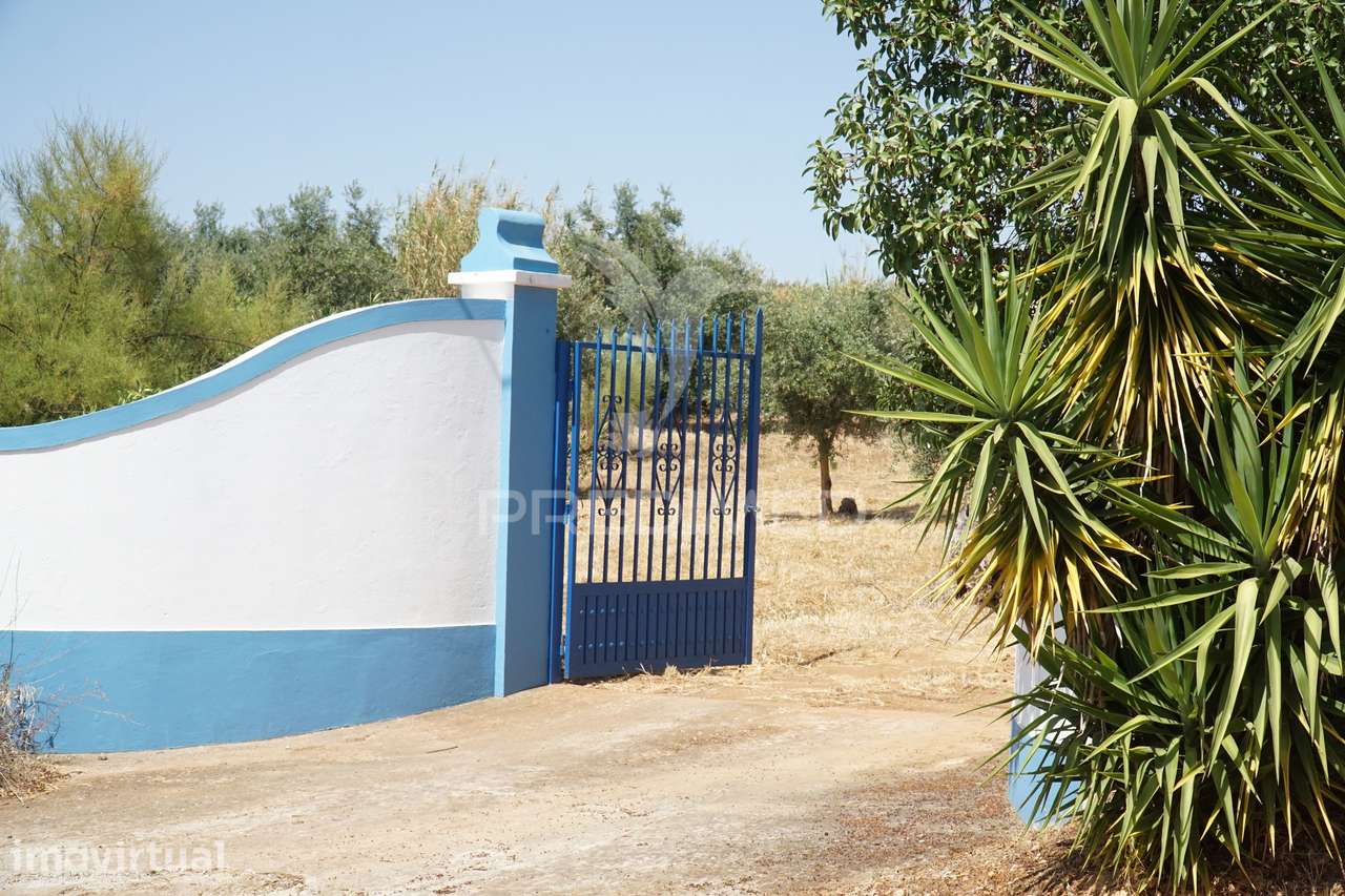 Quinta no Alentejo - Grande imagem: 3/40