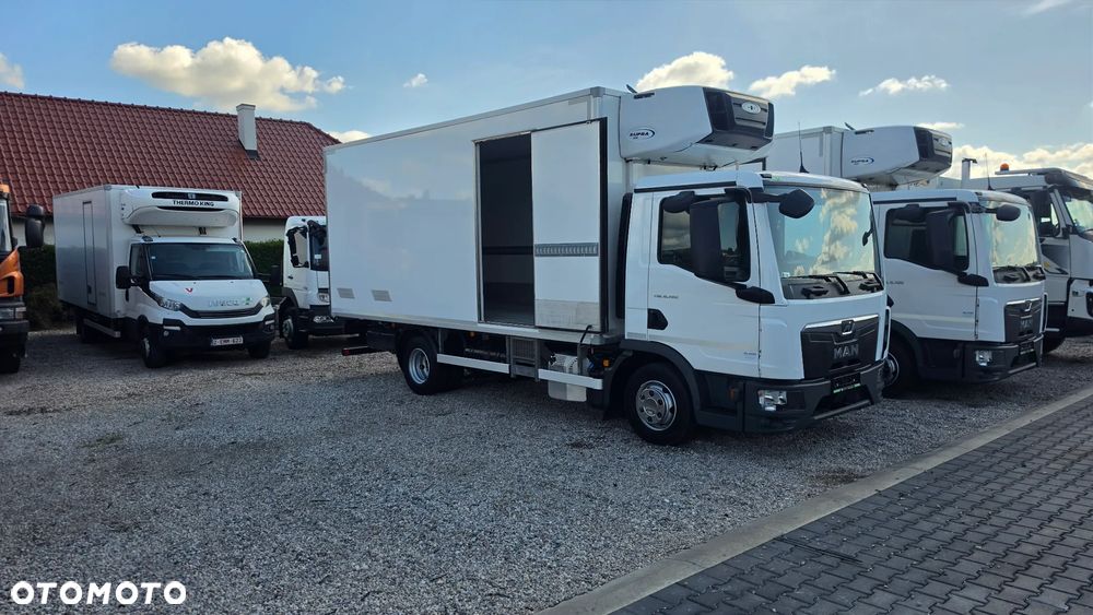 MAN TGL 8.190 Chłodnia 520cm Carrier 850 DMC-8800kg 70C 72C Daily - 2