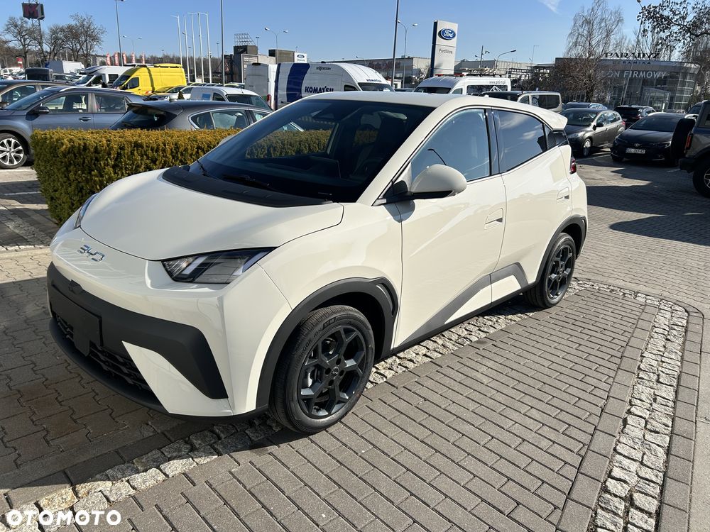 BYD Dolphin Surf - 1