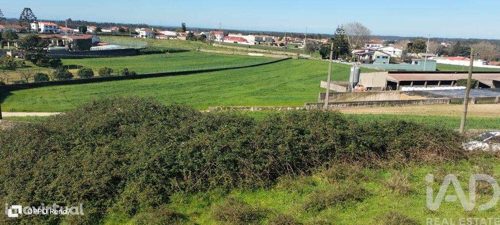 Terreno Agrícola em Guilhabreu - Grande imagem: 3/33