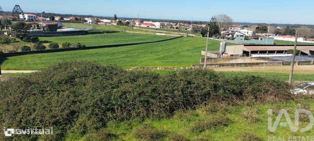 Terreno Agrícola em Guilhabreu - Grande imagem: 3/33
