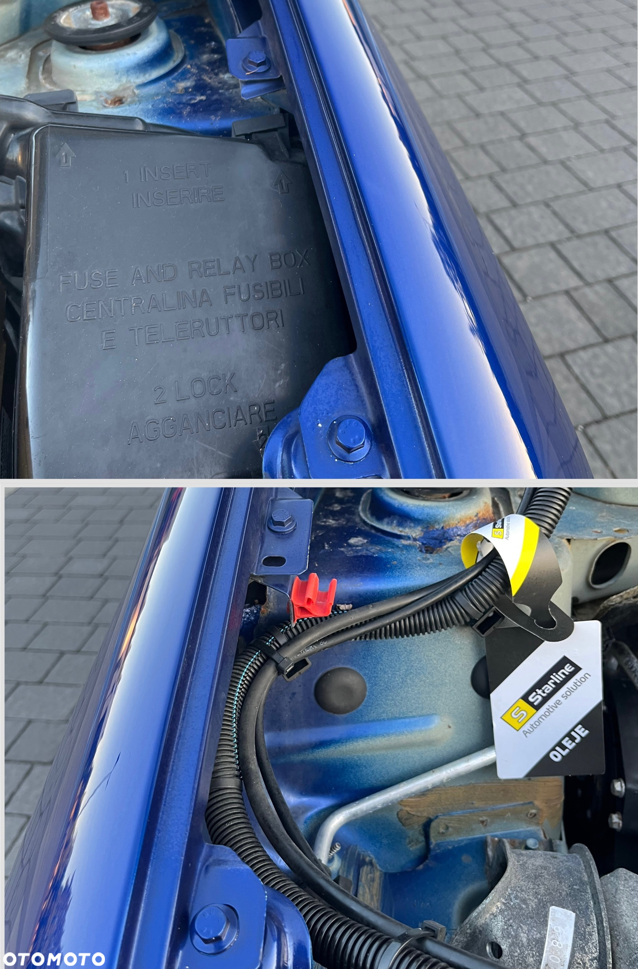 Fiat Panda 1.2 - 39