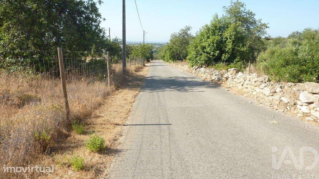 Terreno misto em Ferreiras - Grande imagem: 5/23