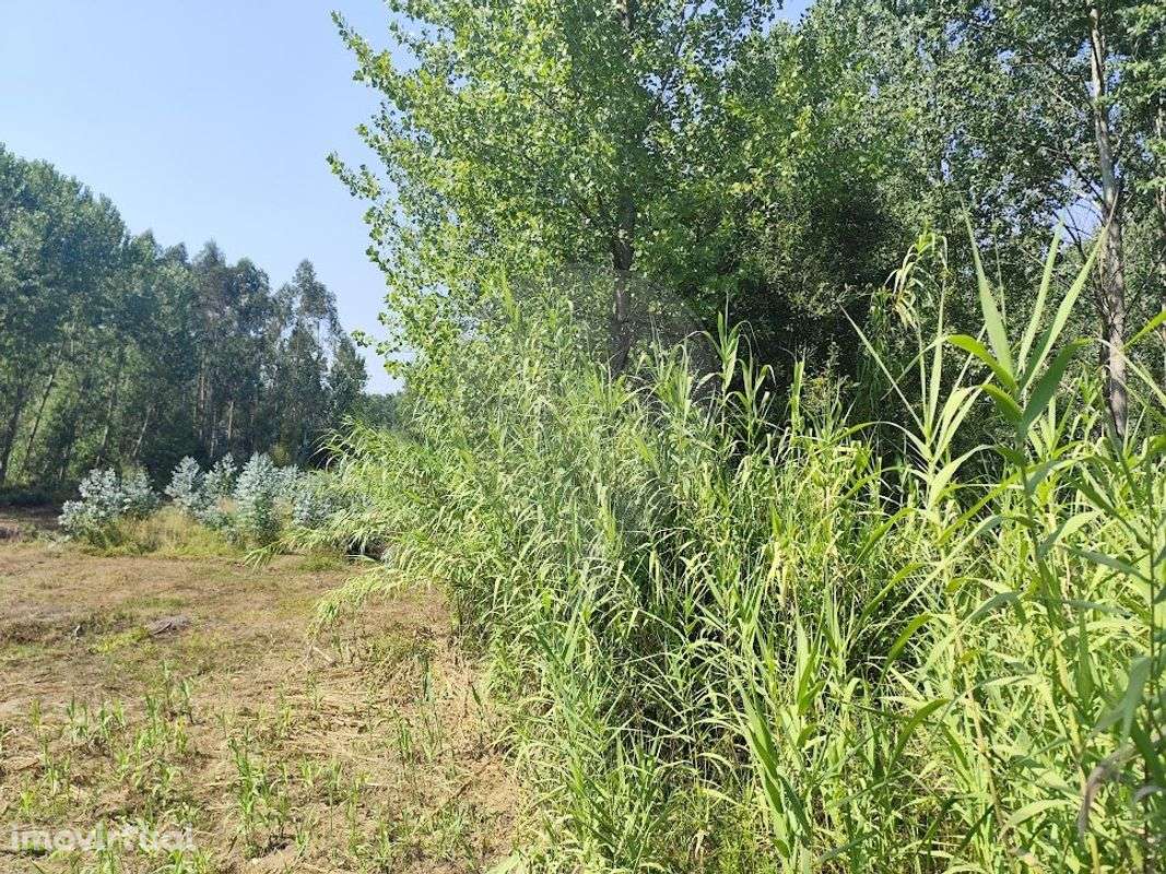 Terreno  para venda - Grande imagem: 3/4