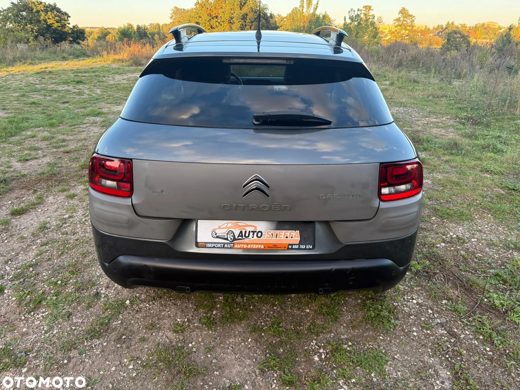 Citroën C4 Cactus BlueHDi 100 Stop&Start Live - 12