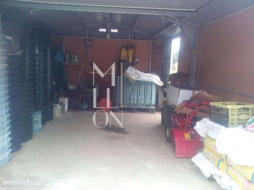 Encantadora Quinta com cerca de 3 Hectares de Tradição e Beleza Natura - Grande imagem: 3/18