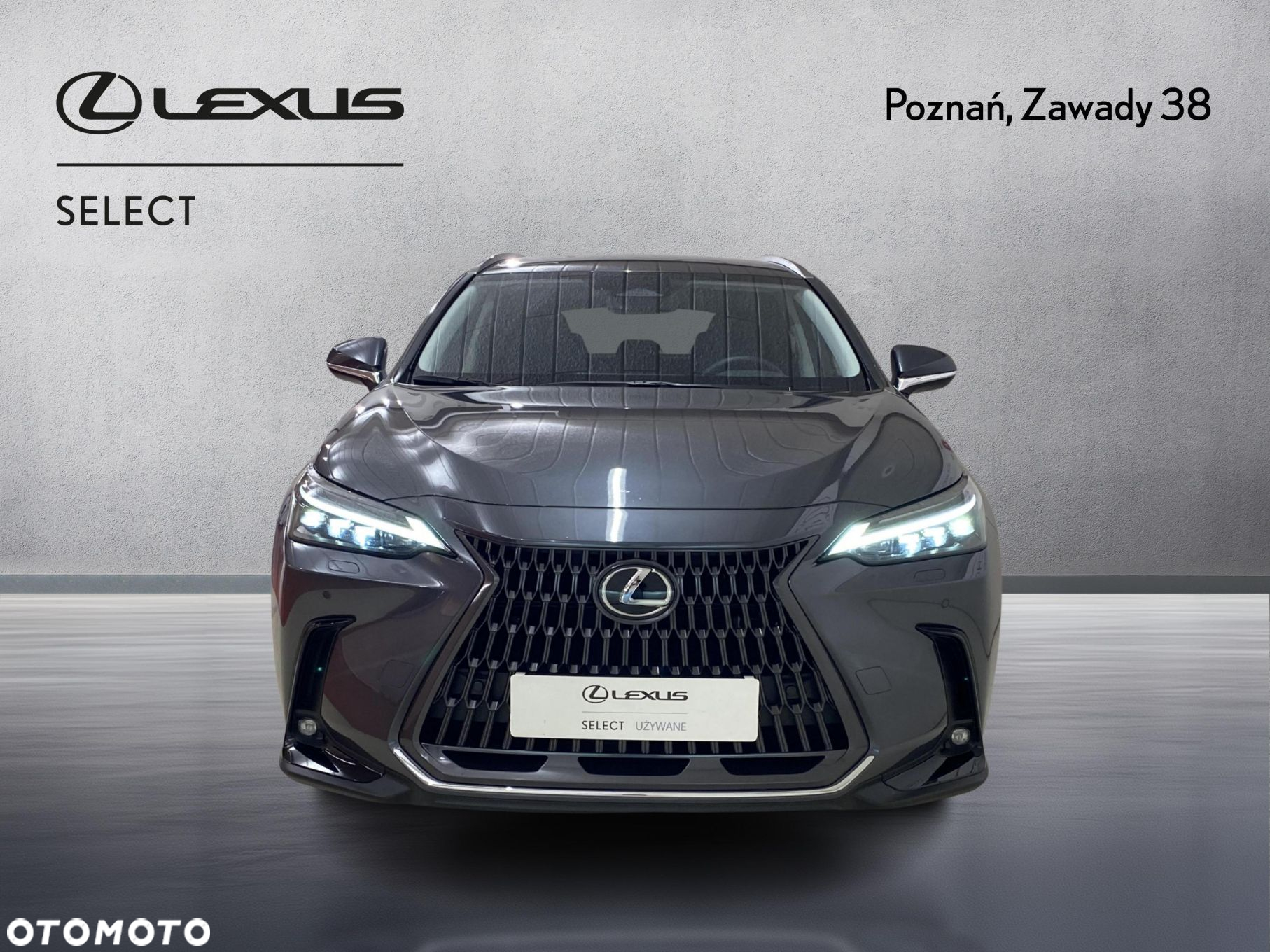 Lexus NX - 6