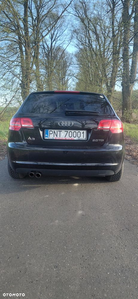 Audi A3 Sportback 2.0 TDI DPF Attraction - 16