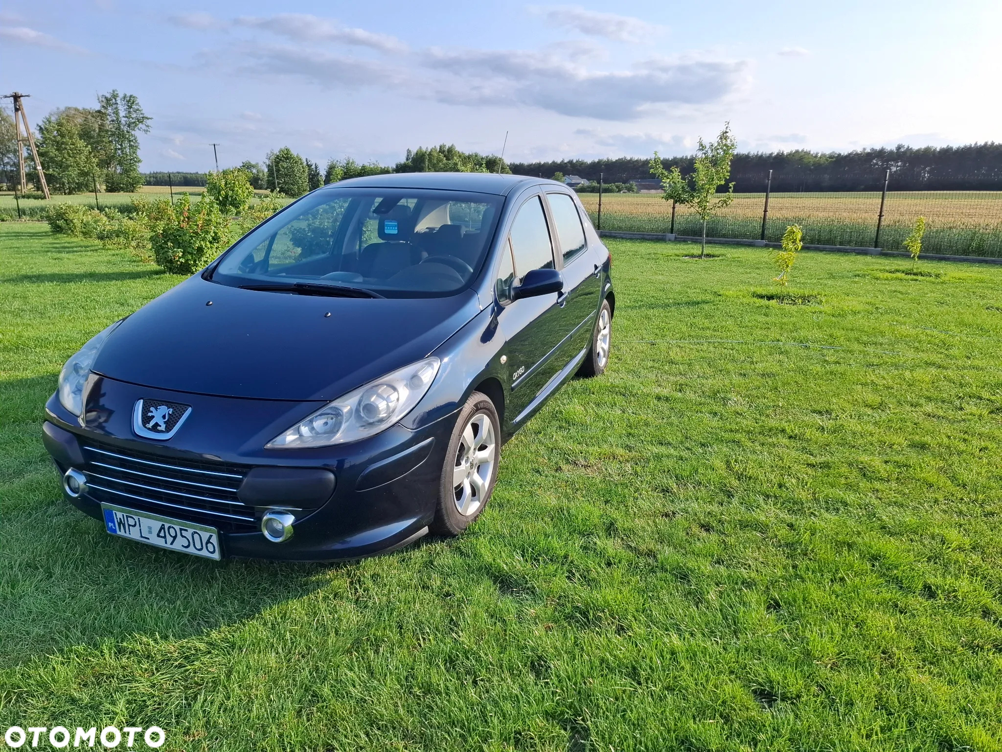 Peugeot 307 1.6 Oxygo - 2