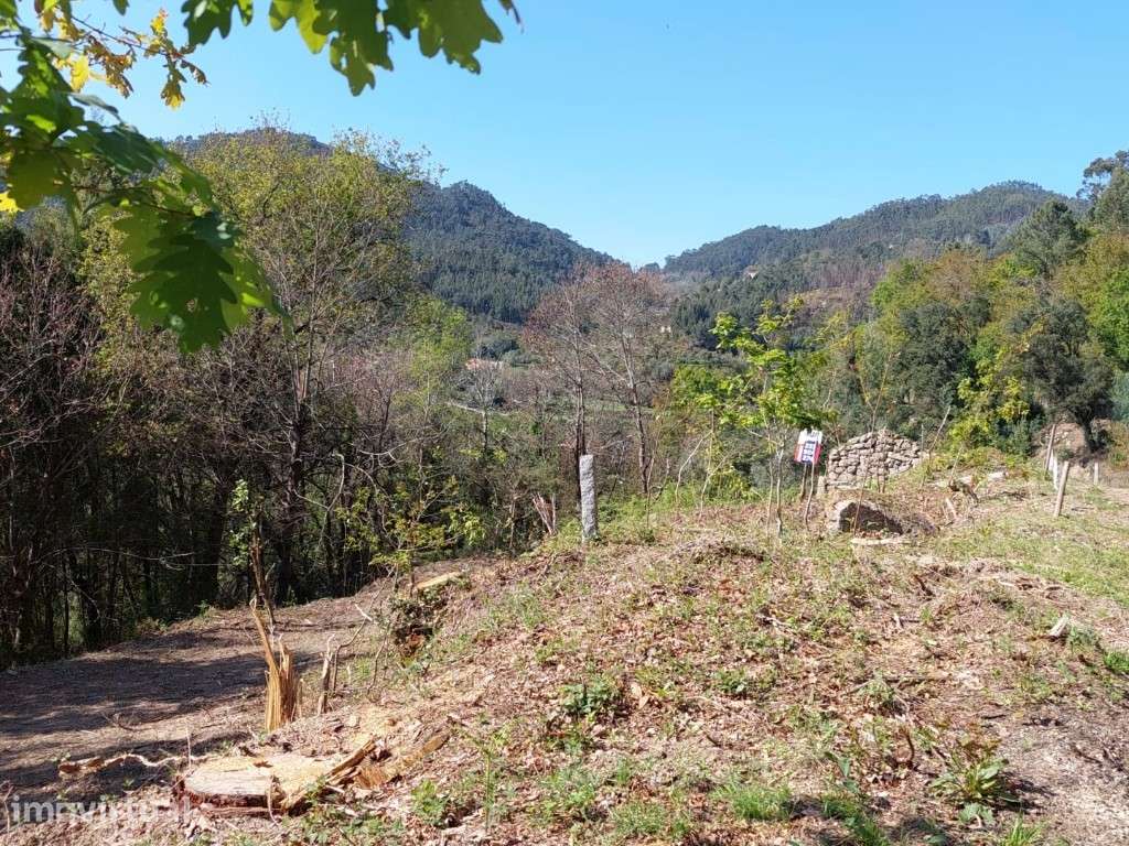 Terreno c/ Ruína em Pedra - Vilela - Grande imagem: 3/10