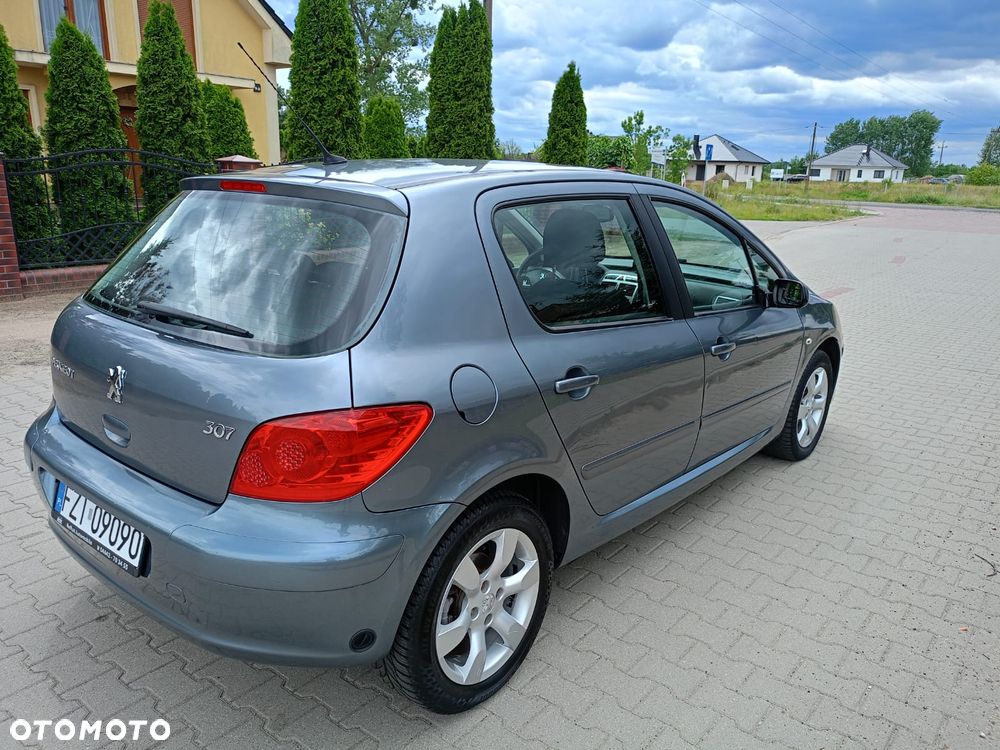Peugeot 307 - 7