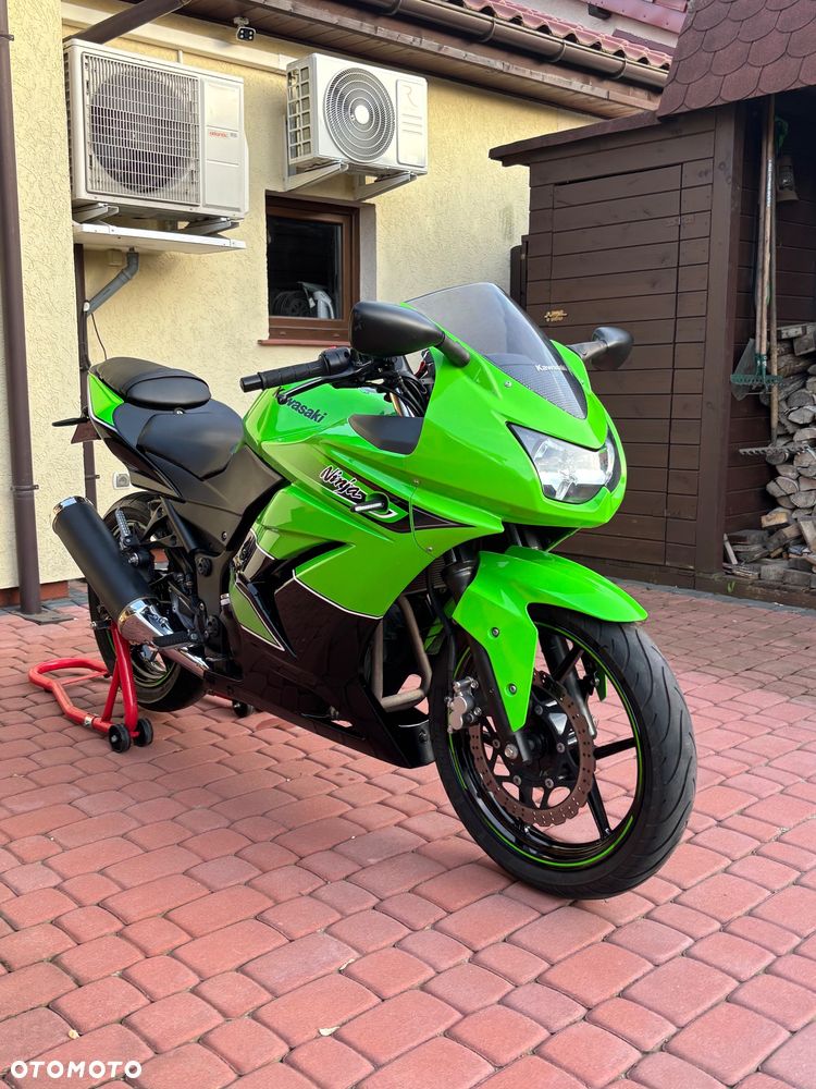 Kawasaki Ninja 250R - 3