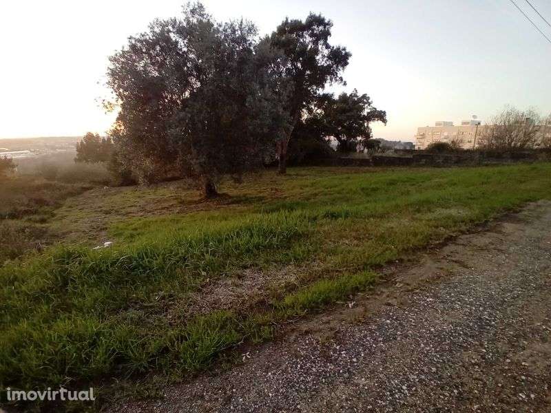 Terreno para construção de moradia em Oliveira do Bairro - Grande imagem: 2/2