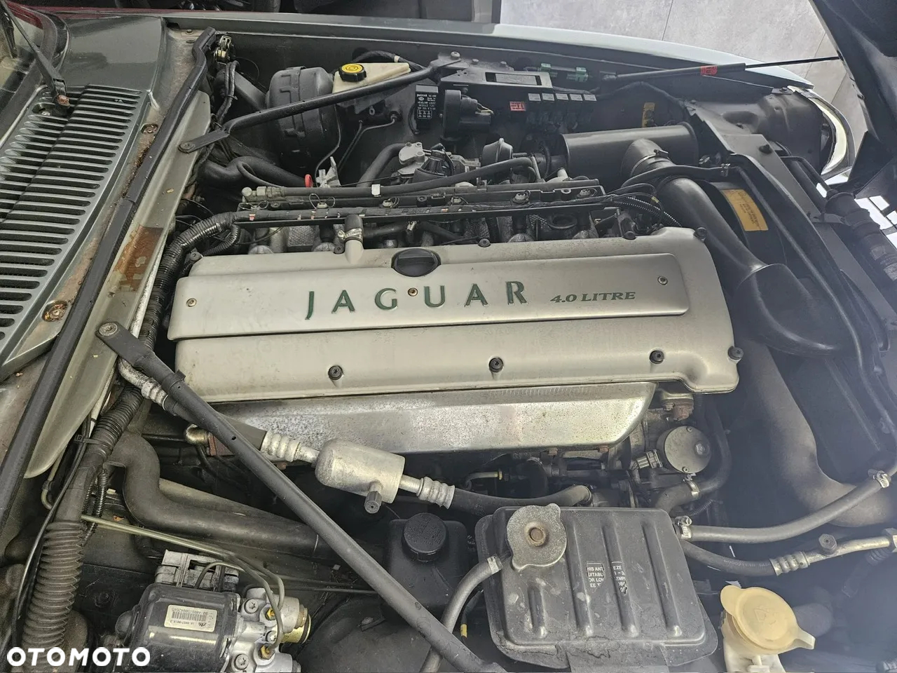 Jaguar XJS 4.0 - 21