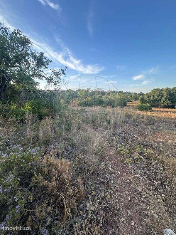 Terreno  para venda - Grande imagem: 5/15