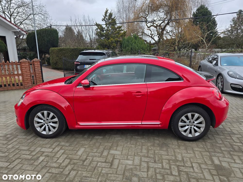 Volkswagen Beetle - 6