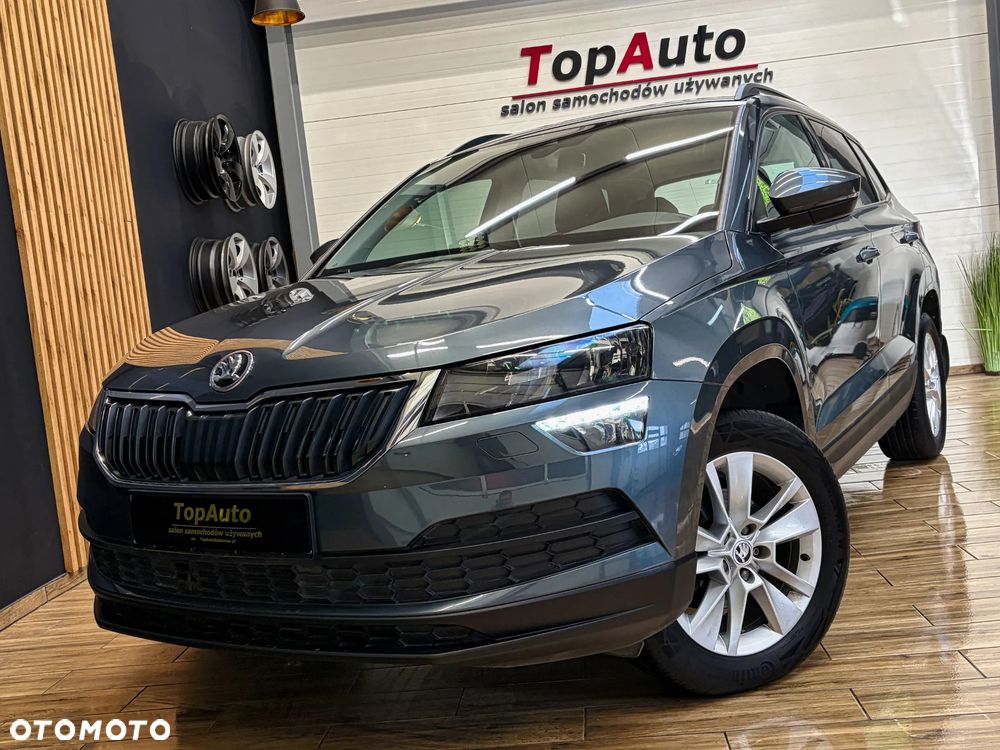 Skoda Karoq - 14