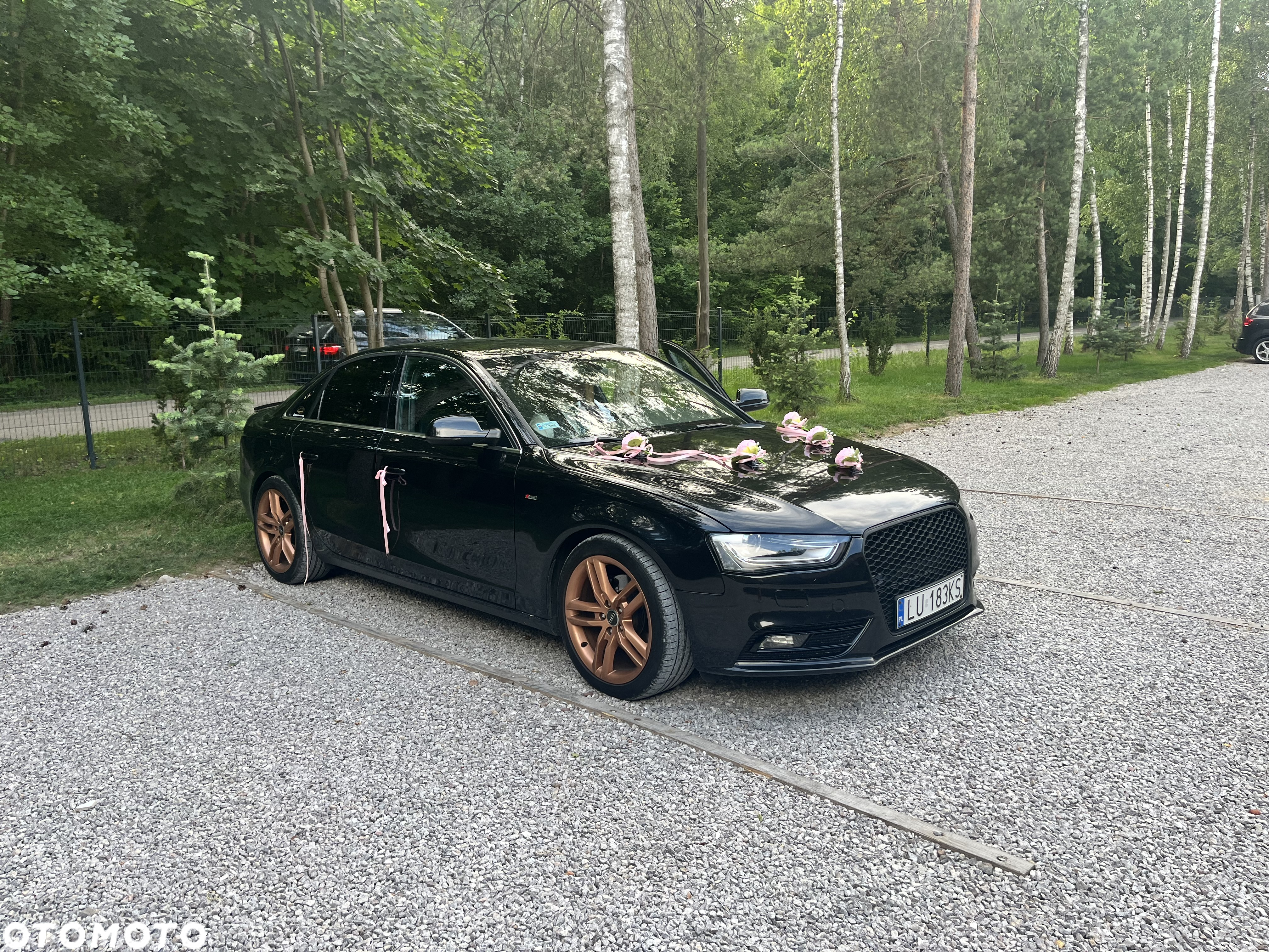 Audi A4 2.0 TDI 116g - 26