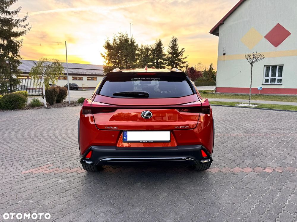 Lexus UX 250h F Sport 2WD - 6