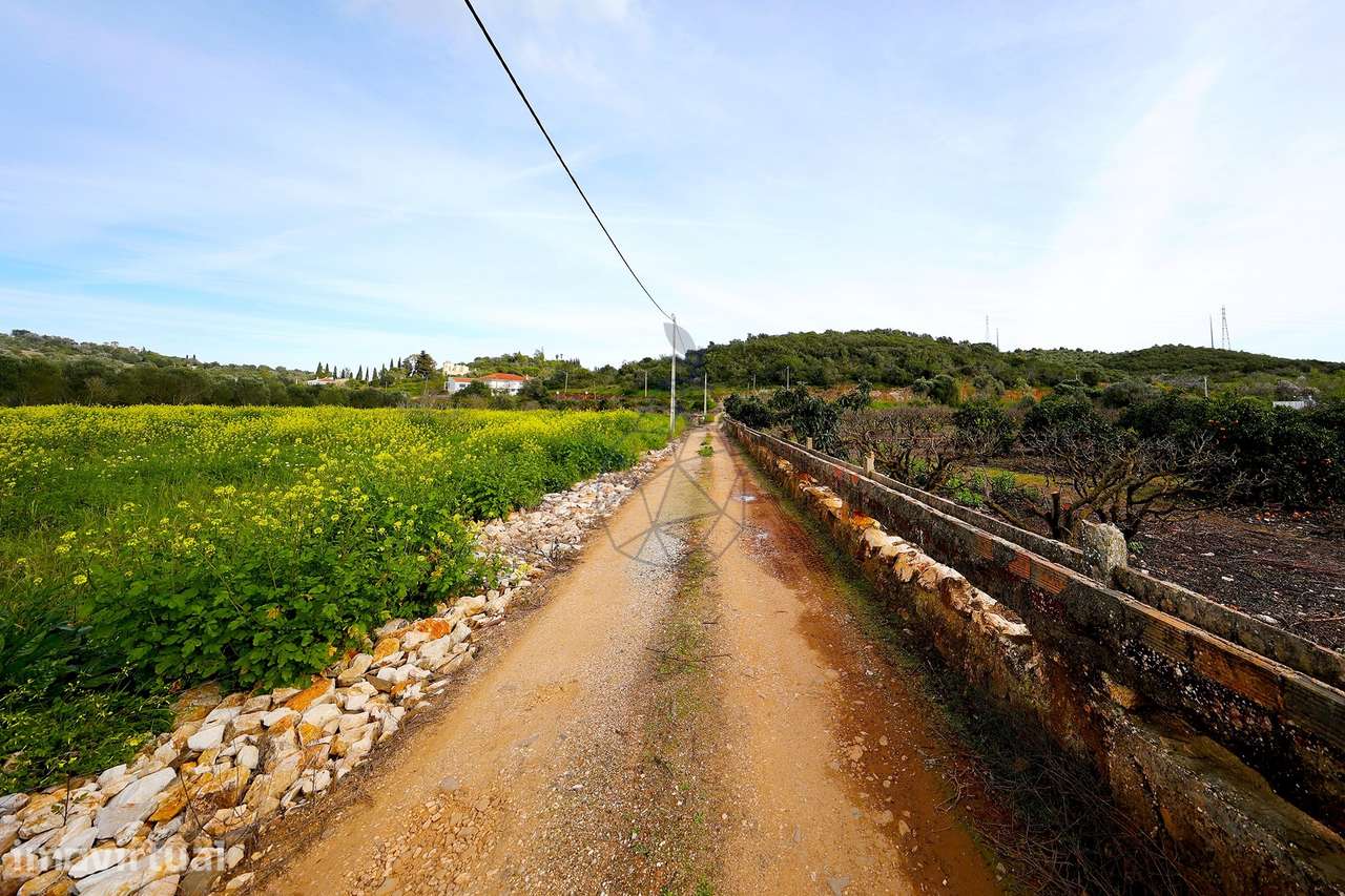 Quinta de 6,7ha com dois urbanos  na Mexilhoeira Grande - Grande imagem: 2/32