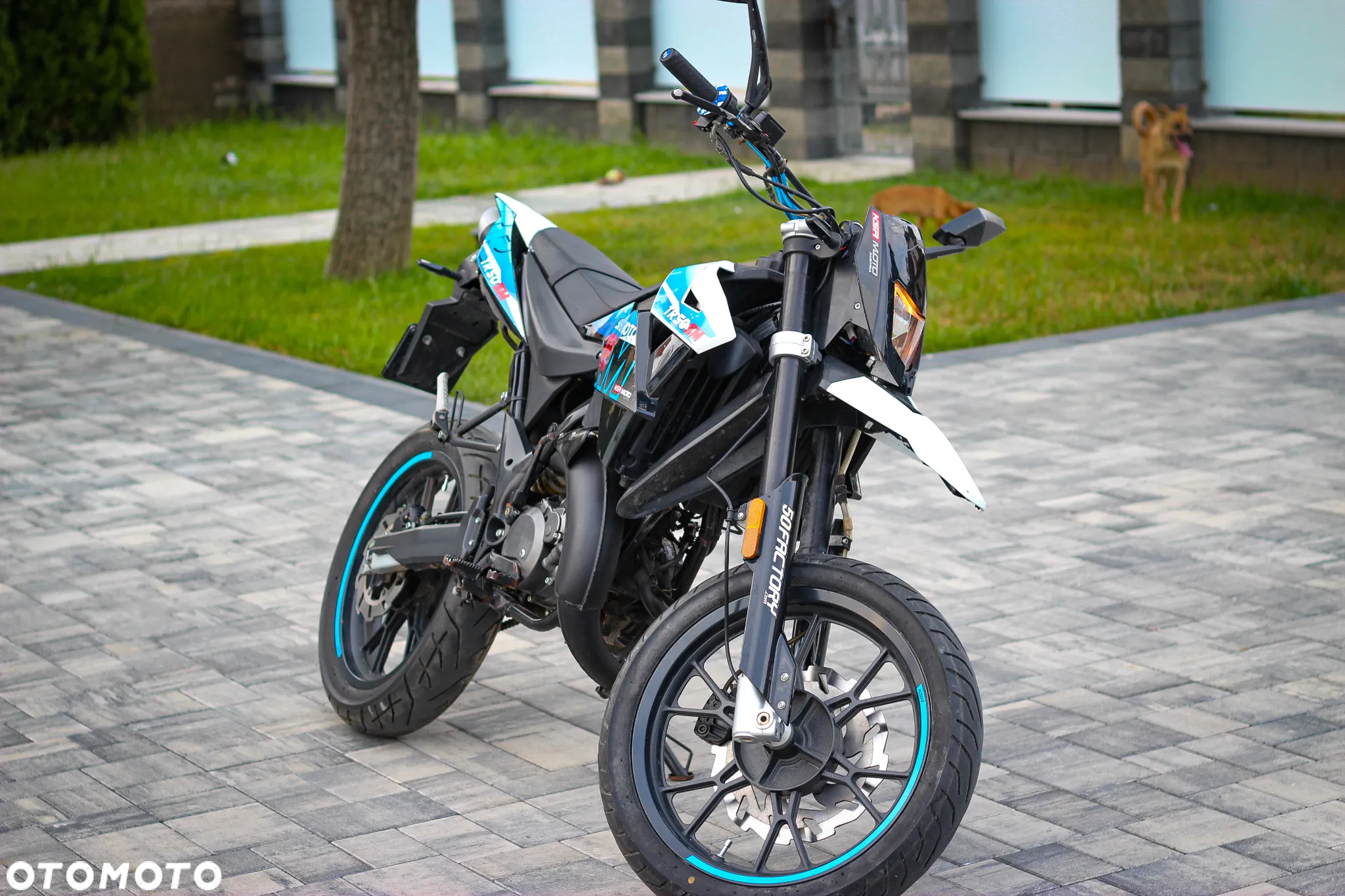 KSR Moto TR 50