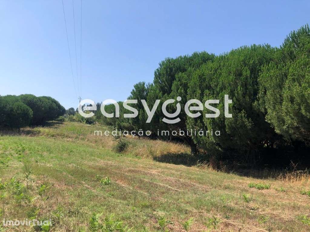 Terreno Urbano para construção de sete moradias na Batalha - Grande imagem: 4/13