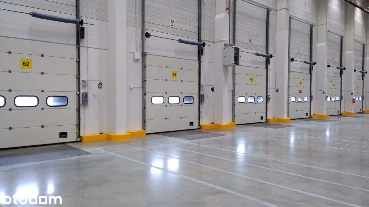 Nowoczesny magazyn Poznań 6500 m2 |Bez prowizji - Pełny obrazek: 4/4