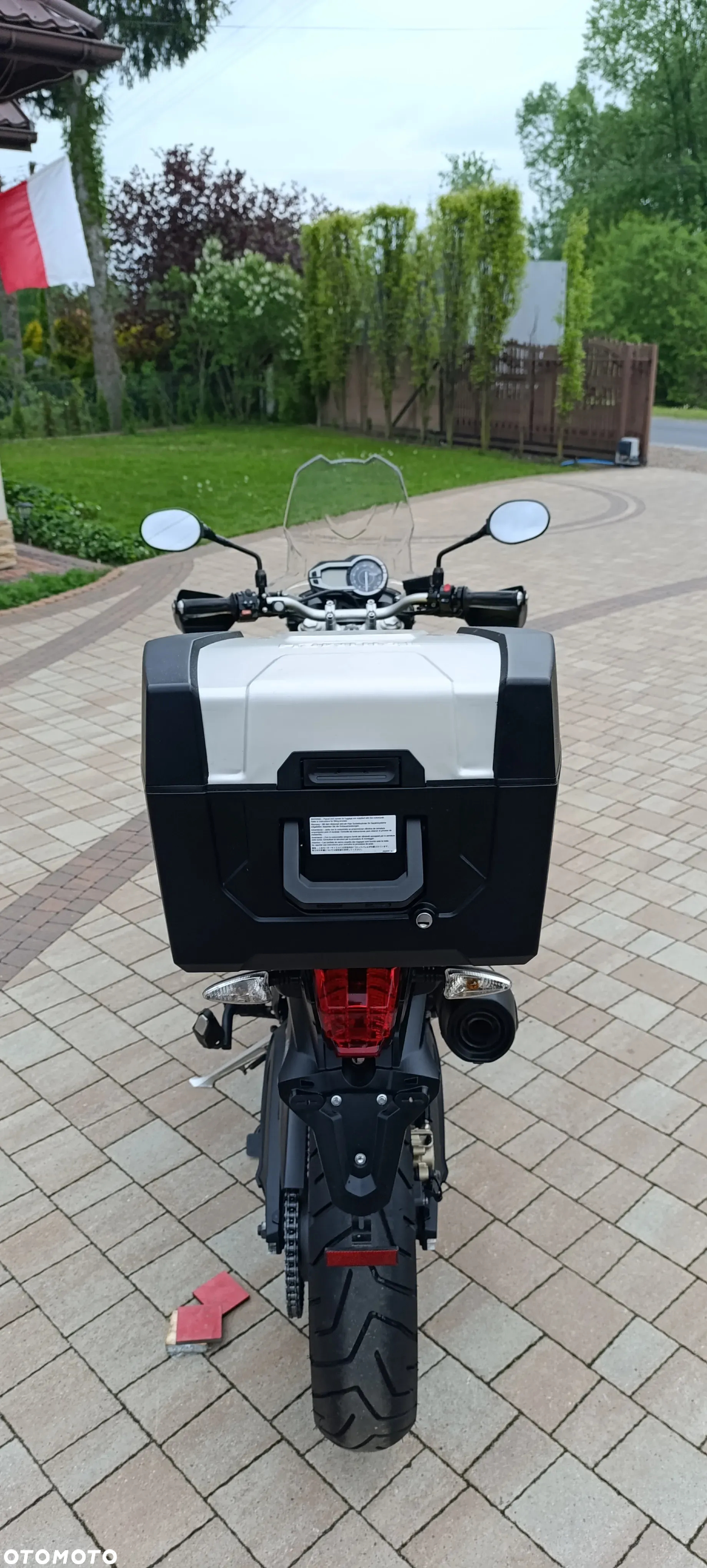 Triumph Tiger - 6