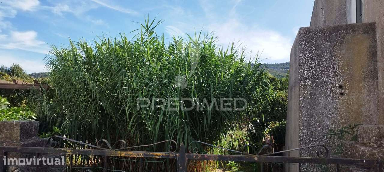 Moradia com grande quintal - Grande imagem: 2/18