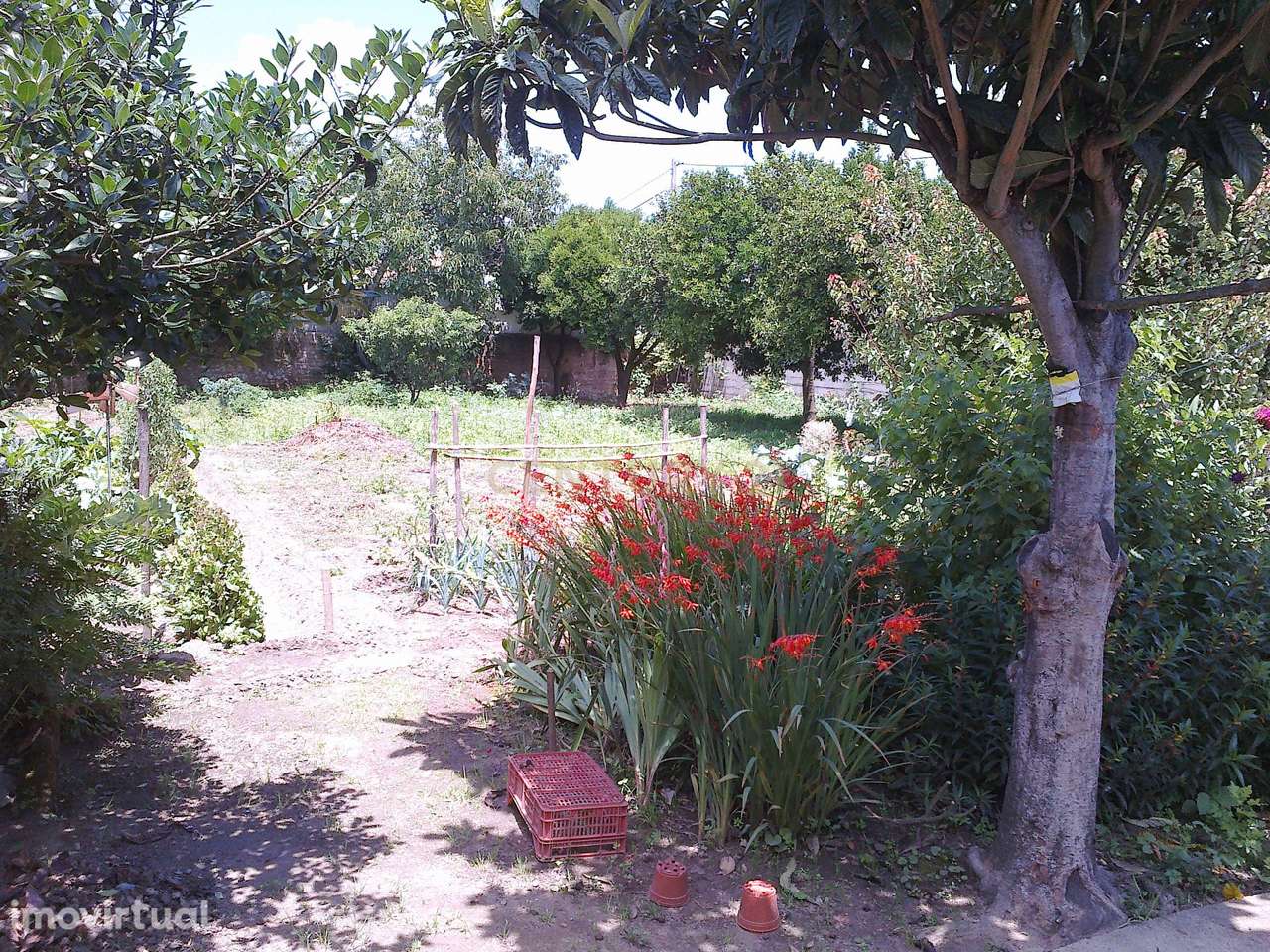 Moradia antiga + terreno envolvente - Centro da vila de Sangalhos - An - Grande imagem: 5/33