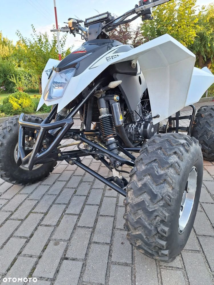 EGL Eglmotor Lyrx - 6