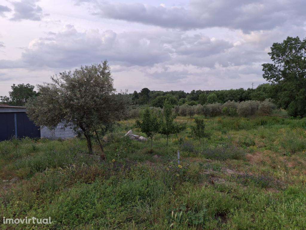 Vende-se Quinta na ratoeira - Grande imagem: 2/20