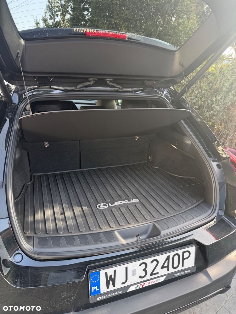 Lexus UX 250h F Sport 2WD - 9