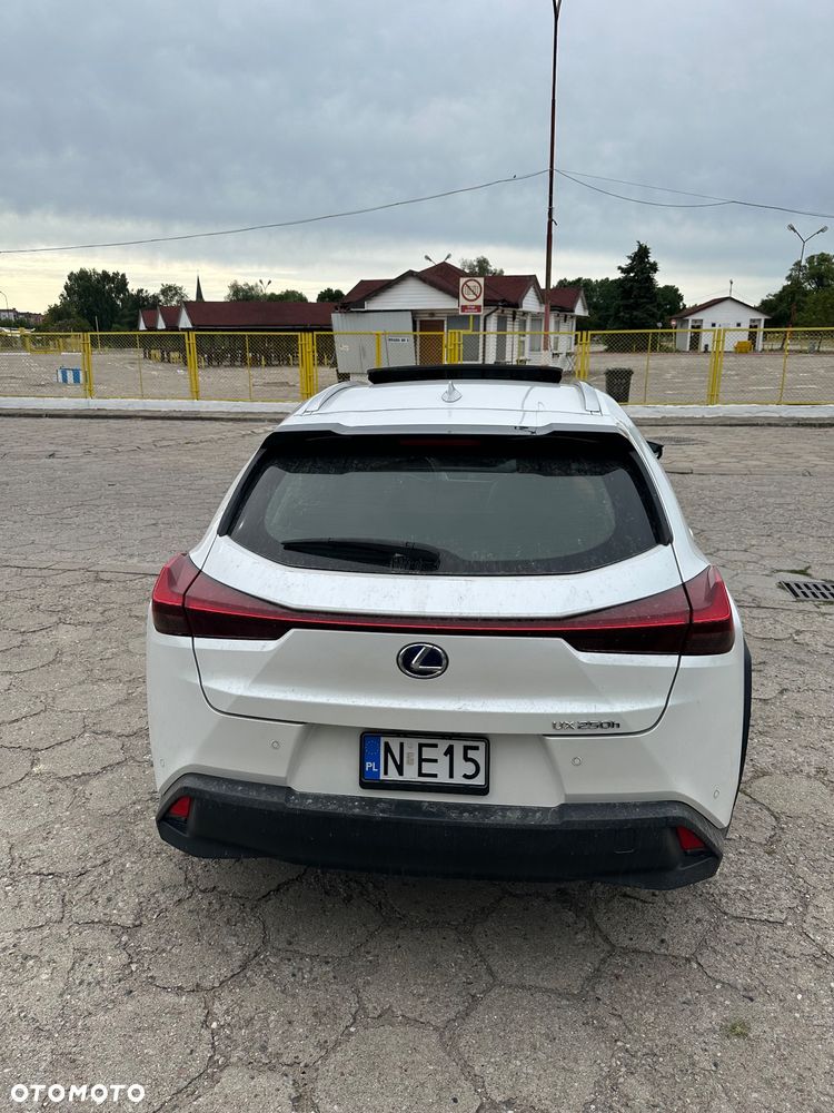 Lexus UX - 5
