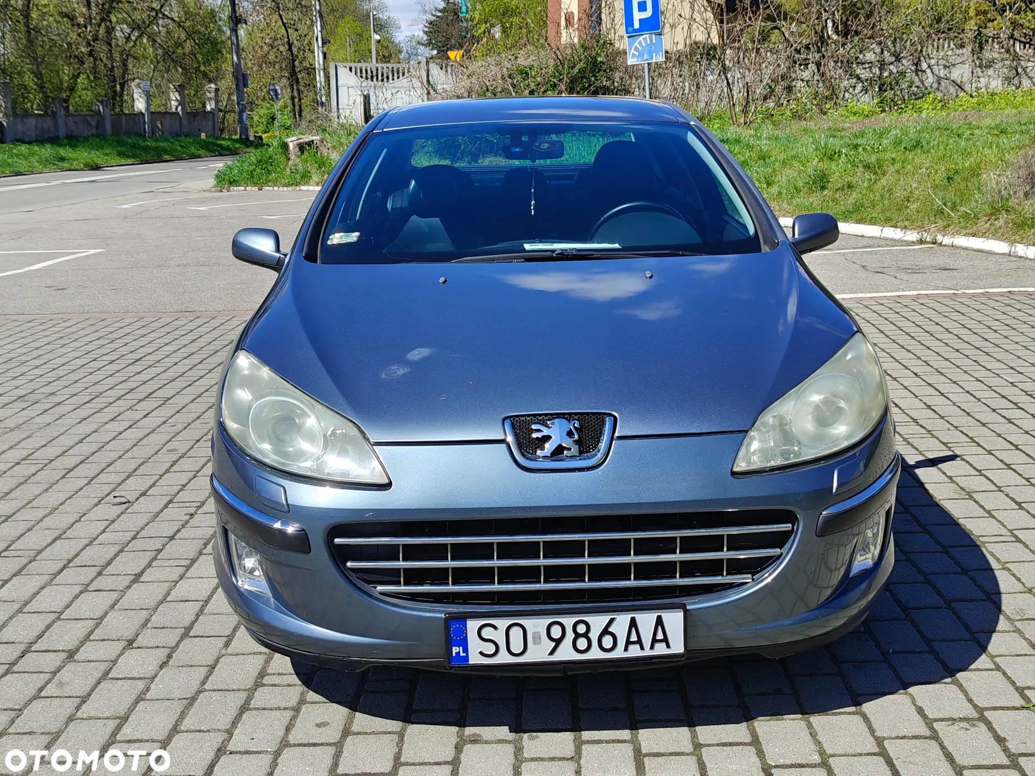Peugeot 407 SW 160 Platinum - 12