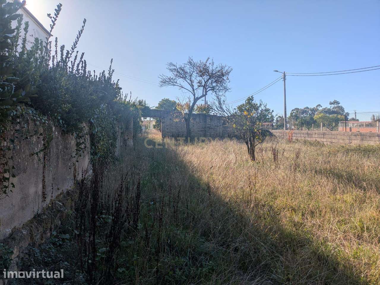 Terreno com 1700 m2 3m Oiã - Oliveira do Bairro- Excelente Localização - Grande imagem: 4/5