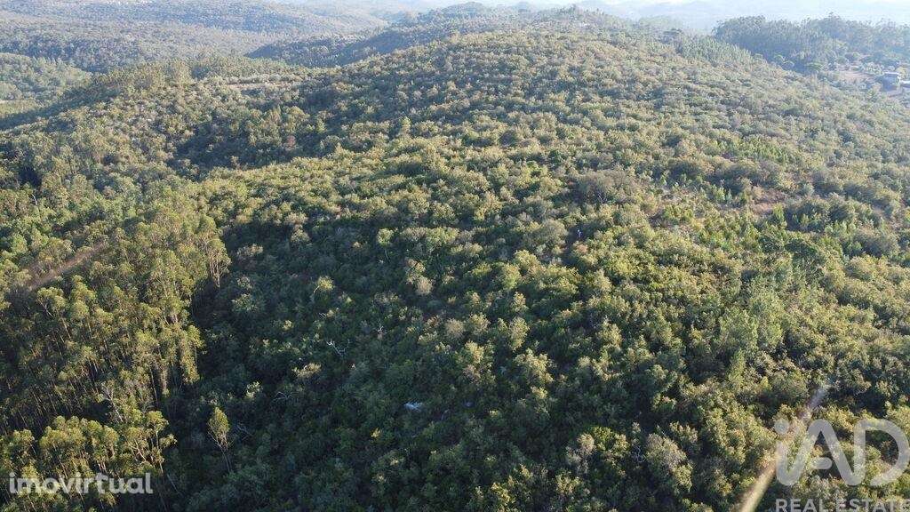 Terreno em Chãos de 14600,00 m2 - Grande imagem: 3/30