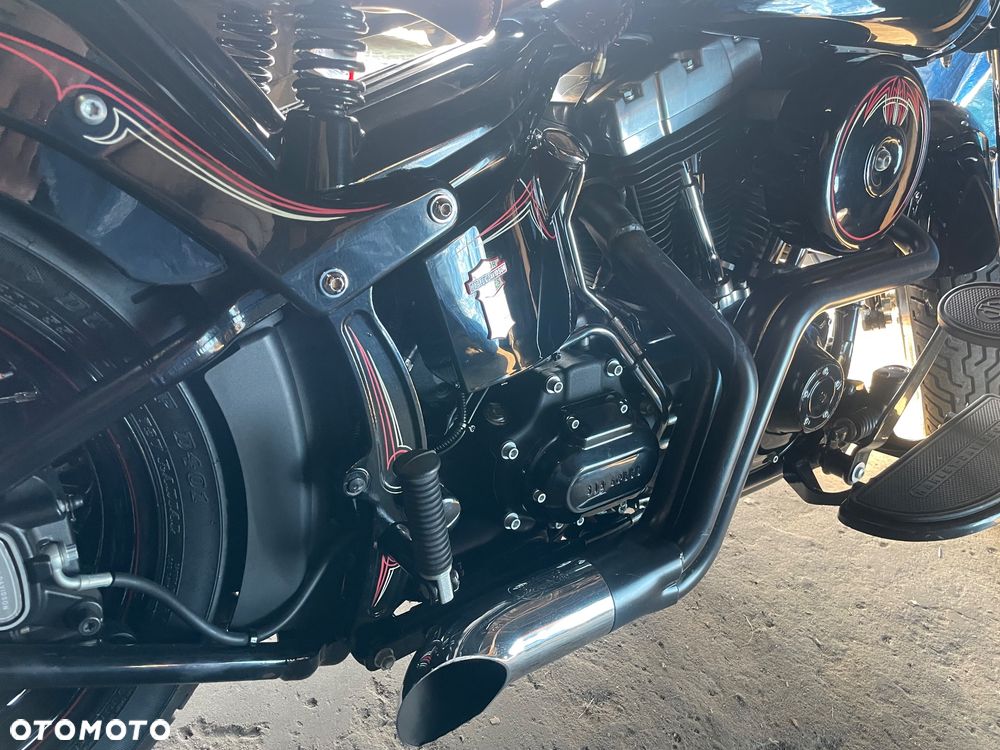 Harley-Davidson Softail Cross Bones - 14