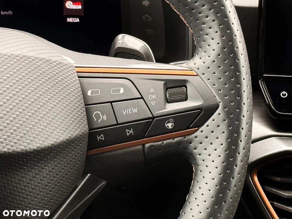 Cupra Formentor 2.0 TSI 4Drive DSG - 24