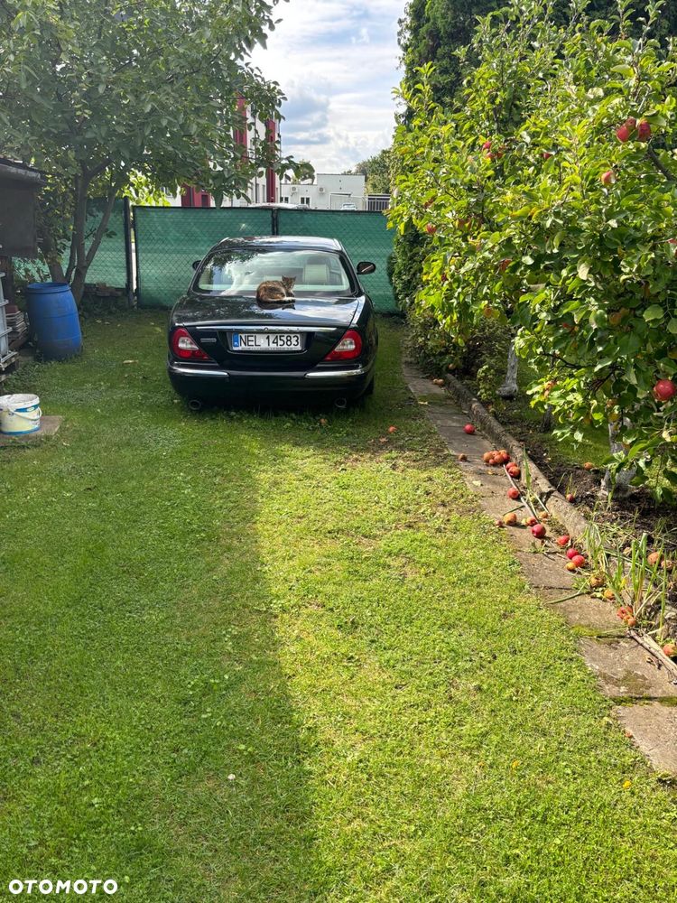 Jaguar XJ - 6