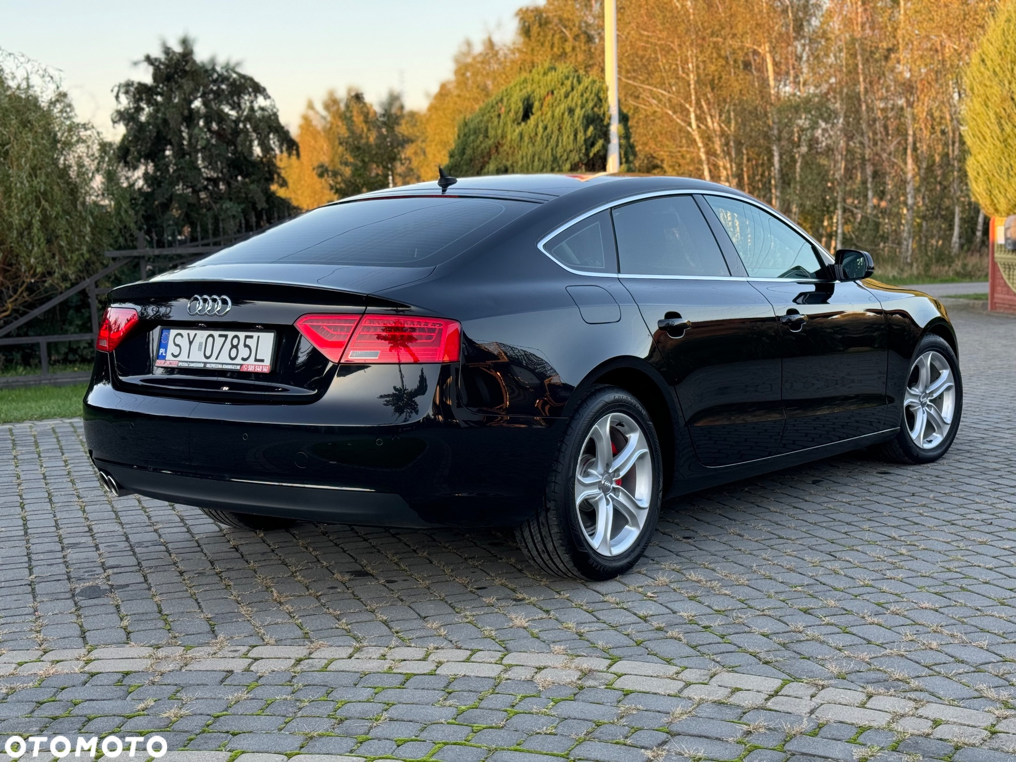 Audi A5 2.0 TDI Multitronic - 8