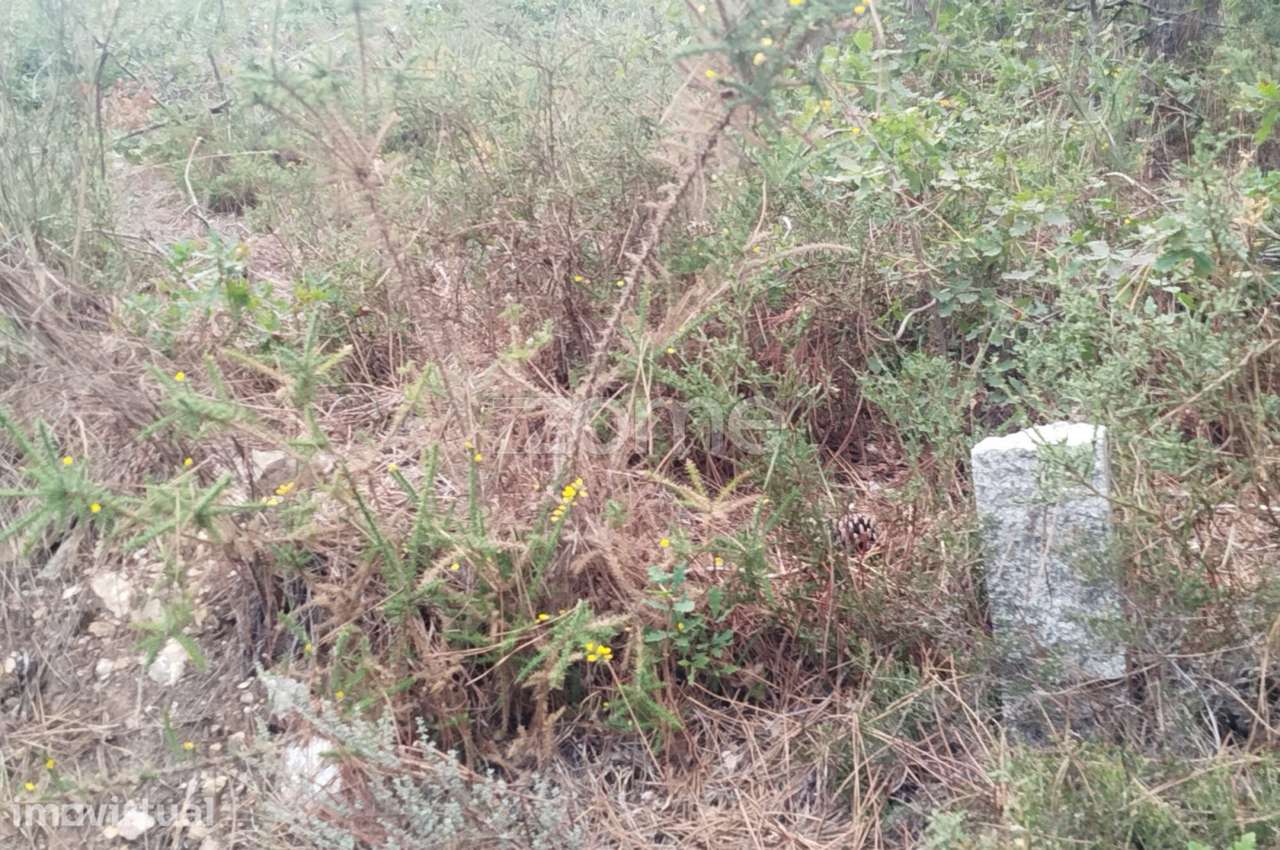 Lote, urbano, Casal De Mundão, 8 km de Viseu - Grande imagem: 4/25