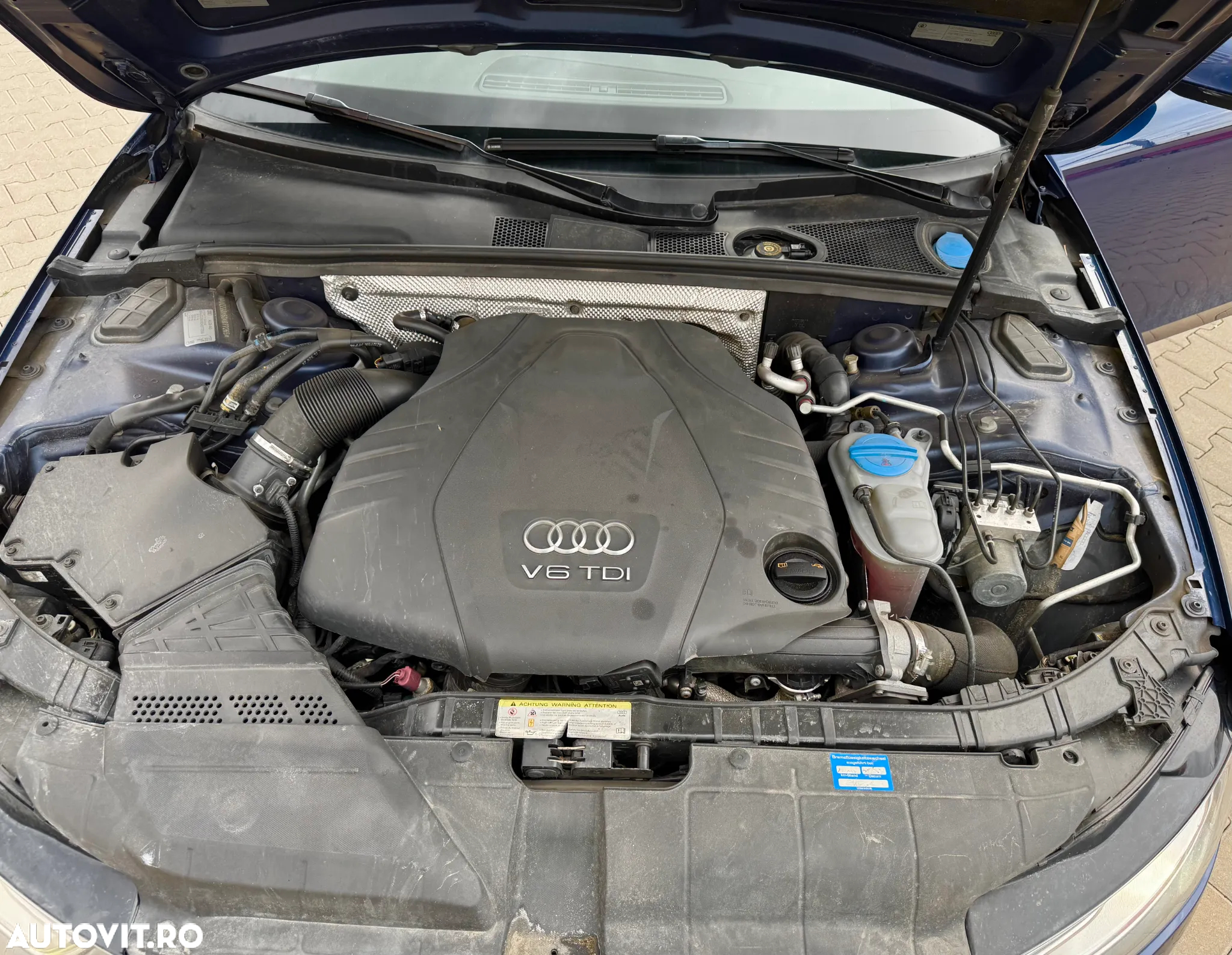 Audi A4 3.0 TDI DPF clean diesel quattro S tronic Ambiente - 15